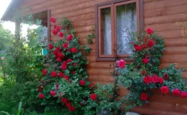 Приватна садиба Затишний куточок