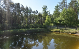 Приватна садиба Лісова прохолода