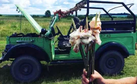 Екскурсія «Safari»