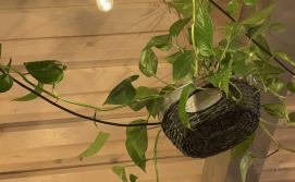 Гостинний двір Sandal