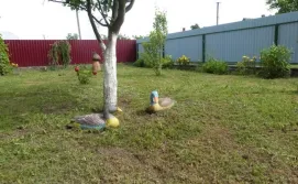 Приватна садиба на Світязі