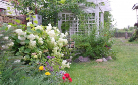 Приватна садиба Гостинне обійстя "ОРНАМЕНТ"