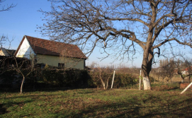 Апартаменти Petefi