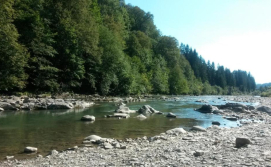 Котедж ТисаБуркут