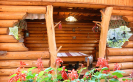 Приватна садиба Дорога додому