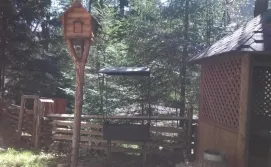 Готель Явір