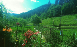 Частная усадьба "Лісовий Закуток"