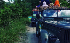 Екскурсія «Safari»