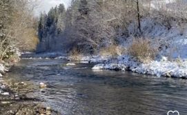 Котедж Cottage Magdalena