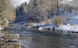 Котедж Cottage Magdalena