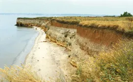 острів Березань