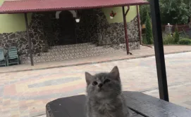 Котедж вул. Л. Українки, 2 (без господарів)