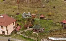 Територія садиба