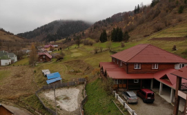 Територія садиба