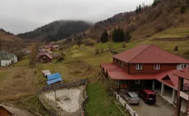 Територія садиба