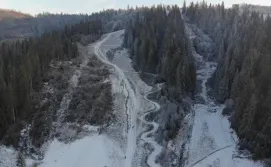 Котедж Pogar Inn Cottage