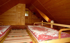 Приватна садиба в Карпатах