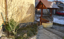 Котедж Соняшник