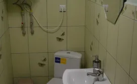 Туалет Приватної садиби Магія Карпат