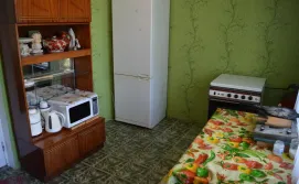 Приватний сектор У Лідії