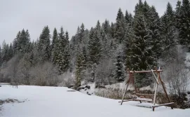 Приватна садиба Карпатський Крокус