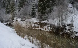 Приватна садиба Карпатський Крокус