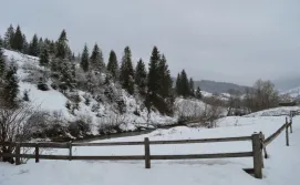 Приватна садиба Карпатський Крокус