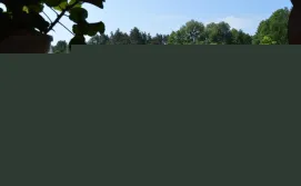 Гостинний двір Діамант №3