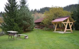 Мангал та гойдалка Приватна садиба У Галі