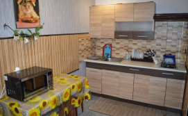 Приватна садиба Бадьорість Карпат