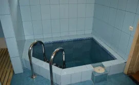 Басейн в сауні