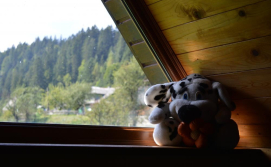 Приватна садиба "Хуторянка"