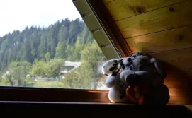 Приватна садиба "Хуторянка"