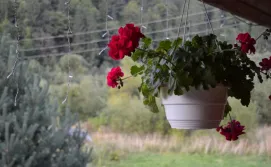 Приватна садиба "Зорецвіт"