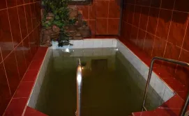 Басейн в сауні на території маєтку Смерековий