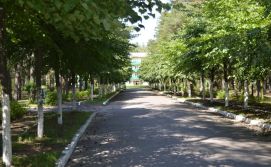 Санаторій Лісова пісня №1