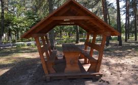 Санаторій Лісова пісня №3