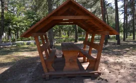 Санаторій Лісова пісня №3