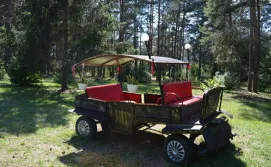 Санаторій Лісова пісня №4