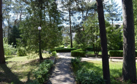 Санаторій Лісова пісня №5