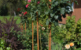 Приватна садиба "Під скитом"