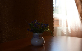 Приватна садиба "Ністру"