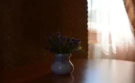 Приватна садиба "Ністру"