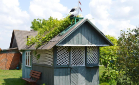 Приватна садиба Під виноградом