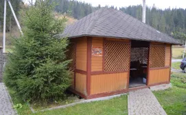 Альтанка загальна