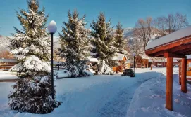 Готель Горицвіт