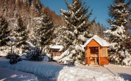 Готель Горицвіт