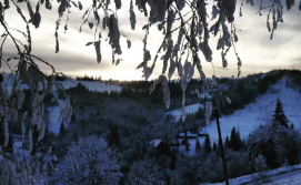 Котедж Cottage Magdalena