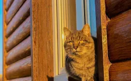 База відпочинку «Затишна оселя»