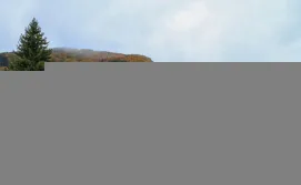 Готель Пилипець